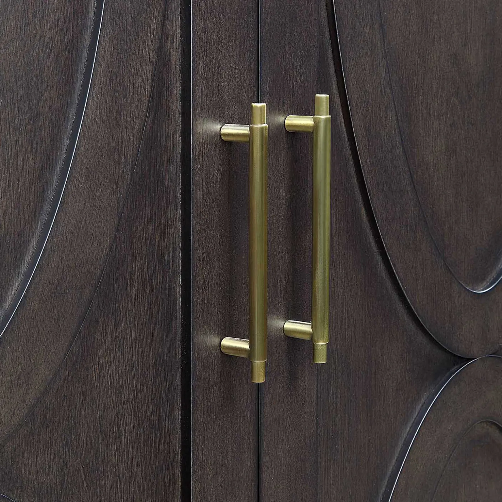 ezra_door_dark_brown_cabinet_with_gold_handle_opening_sales_2.webp * Ezra 2-Door Dark Brown Cabinet With Gold Handle Opening Sales Discount